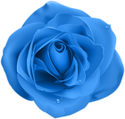 Rose Blue Transparent PNG Clip Art