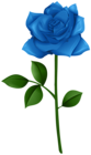Rose Blue with Steam PNG Transparent Clipart