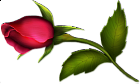 Rose Bud Painted Clipart