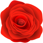Rose Clip Art PNG Image
