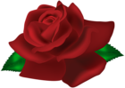 Rose Dark Red PNG Clip Art Image