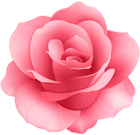Rose Flower Clip Art Image