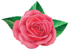 Rose PNG Clip Art Image