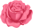 Rose PNG Pink Clipart