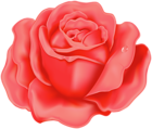 Rose PNG Red Clipart