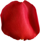 Rose Petal Red PNG Clip Art Image