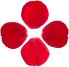 Rose Petals Transparent Image