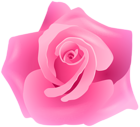 The page with this image: Rose Pink Artistic PNG Transparent Clipart,is on this link