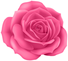 Rose Pink Clip Art PNG Image