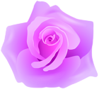 Rose Purple Artistic PNG Transparent Clipart
