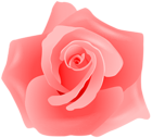 Rose Red Artistic PNG Transparent Clipart