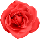 Rose Red Transparent PNG Clip Art