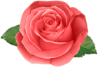 Rose Red Transparent PNG Clip Art Image
