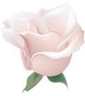 Rose Soft Deco Transparent PNG Image | Gallery Yopriceville - High ...