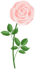 Rose Soft PNG Clipart