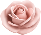 Rose Soft Peach Transparent PNG Clip Art Image