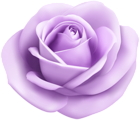 Rose Soft Puprle Transparent PNG Clip Art Image