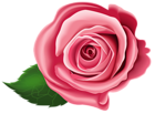 Rose Transparent PNG Clip Art