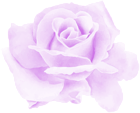 Rose Watercolor Purple PNG Clipart