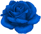 Rose in Blue Transparent PNG Clipart