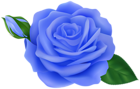 Rose with Bud Blue Transparent Clipart