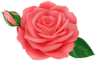 Rose with Bud Red Transparent Clipart