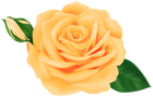 Rose with Bud Yellow Transparent Clipart