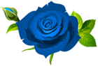 Rose with Bud and Leaves Blue PNG Clipart