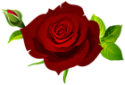 Rose with Bud and Leaves Dark Red PNG Clipart
