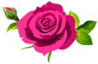 Rose with Bud and Leaves Pink PNG Clipart