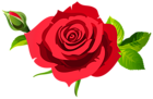Rose with Bud and Leaves Red PNG Clipart