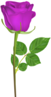 Rose with Stem Purple PNG Clip Art Image