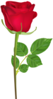 Rose with Stem Red PNG Clip Art Image