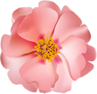 Rosebush Flower PNG Clip Art Image