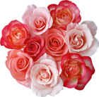 Roses Bouquet Clipart