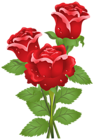 Roses Clip Art Image