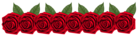 Roses Decoration Transparent PNG Clip Art Image