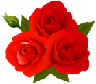 Roses PNG Clip Art