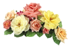 Roses PNG Image