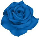 Single Blue Rose PNG Clip Art Image