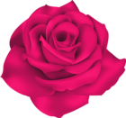 Single Pink Rose PNG Clip Art Image