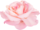 Soft Pink Rose PNG Clipart