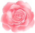 Soft Pink Rose PNG Clipart