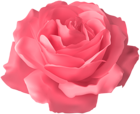 Soft Pink Rose Transparent PNG Clip Art Image