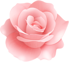 Soft Rose Flower Clip Art Image