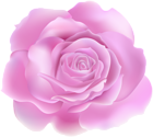 Soft Rose Violet PNG Clipart