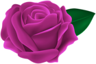 Transparent Dark Pink Rose PNG Clipart