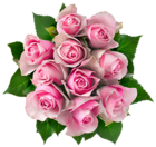 Transparent Pink Roses Bouquet PNG Clipart Picture