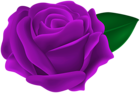 Transparent Purple Rose PNG Clipart