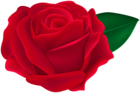 Transparent Red Rose PNG Clipart